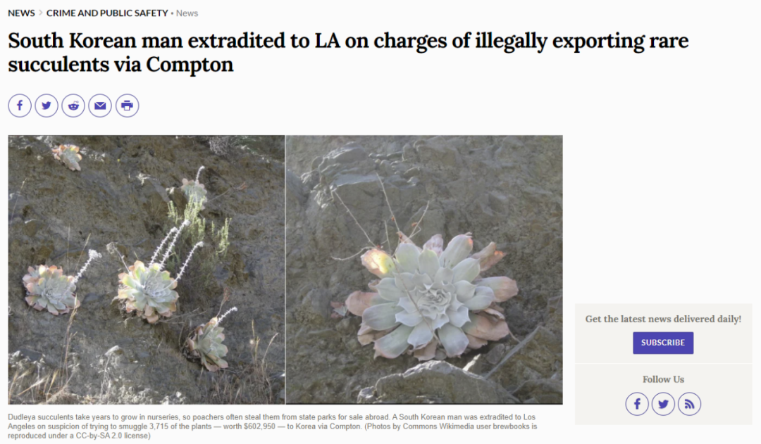 非法采摘超60万美金多肉植物 3韩裔男子被控重罪 人在洛杉矶网lapeople Com