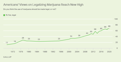 深度i 大选之年 大麻之年 人在洛杉矶网lapeople Com