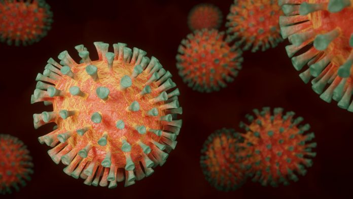 最新研究发现冠状病毒致命弱点也许是疫情突破口 人在洛杉矶网lapeople Com