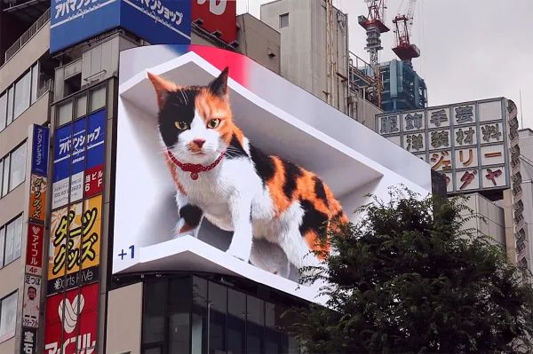 3d技术加持巨大花猫现身东京新宿建物外墙 人在洛杉矶网lapeople Com